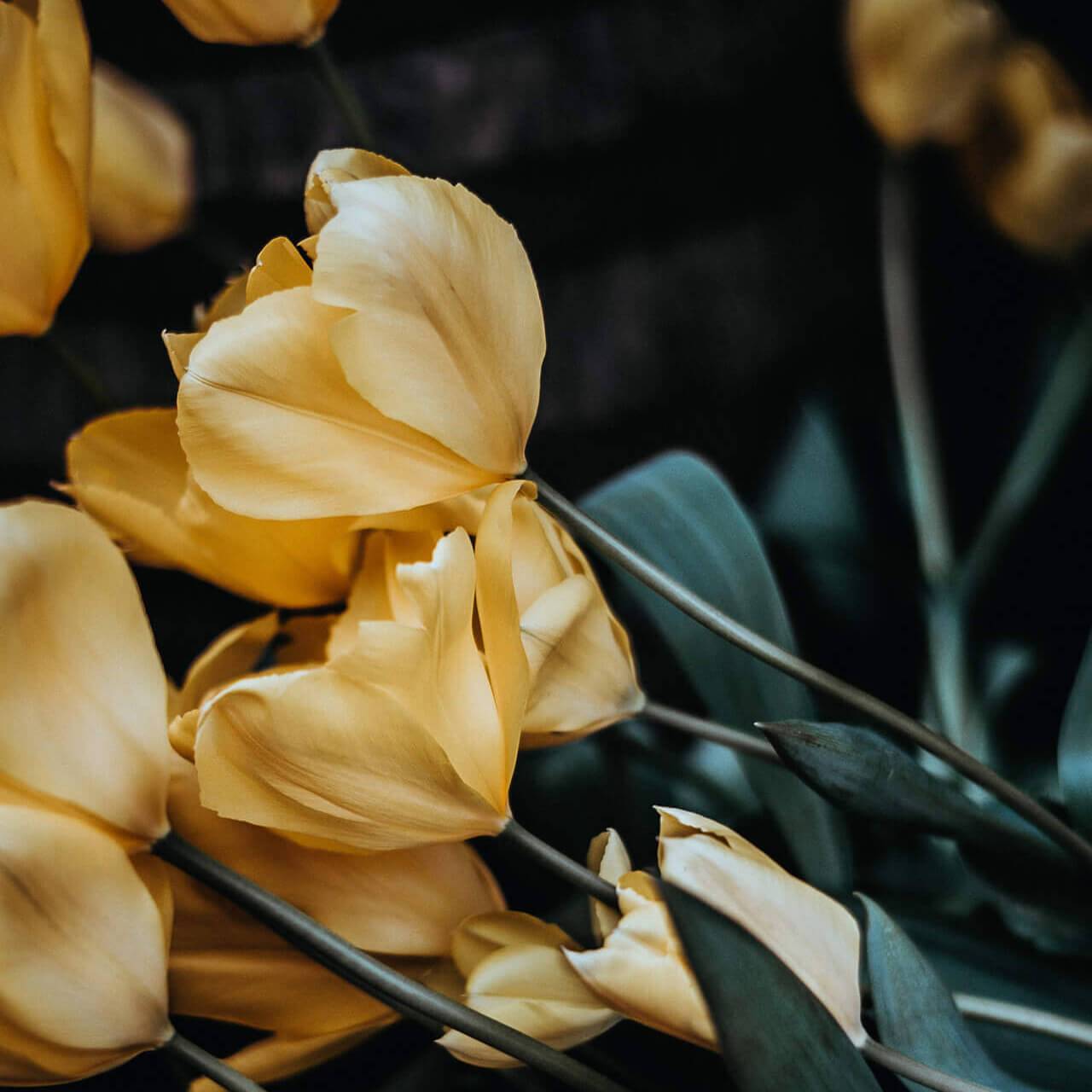 Bestattungshaus Kutzi